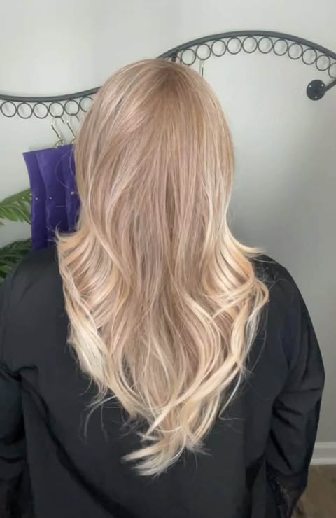 Softly Yours Apricot NWOT HS Basic Mono Front Wig LW3-AC1