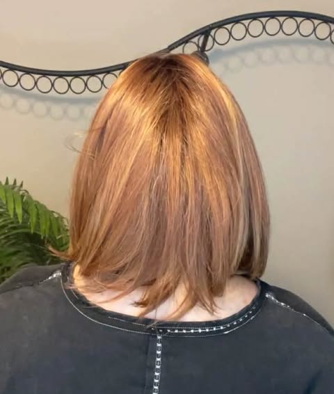 PHOEBE STRAWBERRY MOCHA NWOT HS LUXURY WIG TN1 AC1