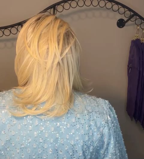 ELEGANCE AWAITS FROSTED HONEY BLONDE HS NWT Luxury Wig by SBS TN1 AC1