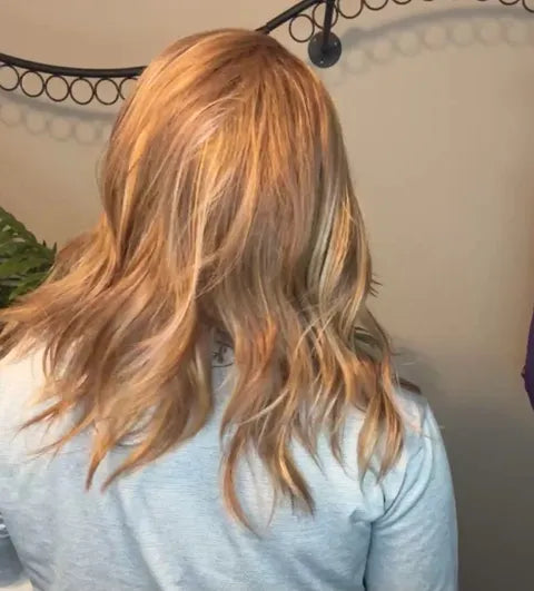 ARDEN SMOKED CARAMEL HS NWOT SWISS LUXE WIG LW3-AC1