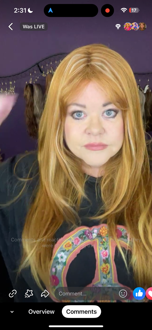 Cool Air NWT Basic HS Wig By Rebel Gypsy LW3-AC1