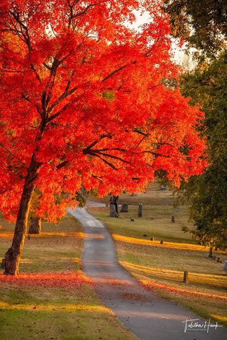 FALL