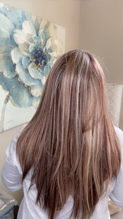 Jayla Frosted Mocha NWOT HS Basic Wig TN1-AC1