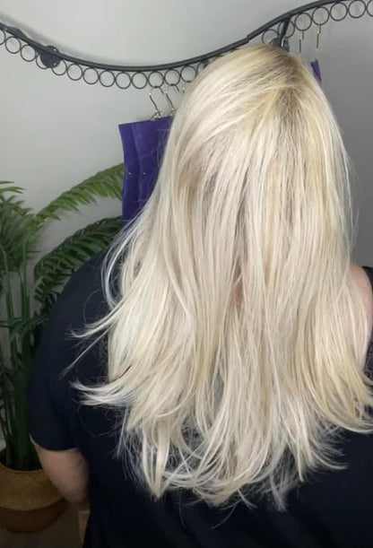 PRECISE PERFECTION PAPARAZZI BLONDE HS NWT Luxury Wig by SBS LW3-AC1