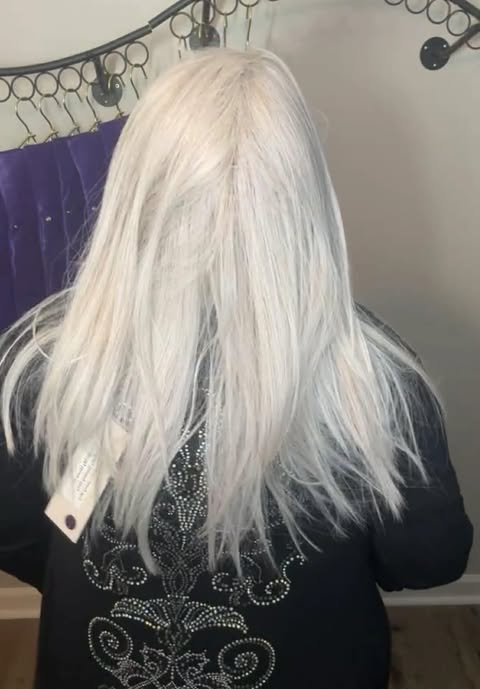 HOLLY STERLING GREY NWT HS COMFORT LUXURY WIG LW3-AC1