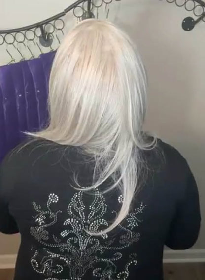 TAMMY SUGARED PEWTER HS HT LUXURY WIG BY SBS LW3-AC1