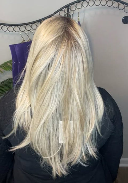 WFEW Blonde HS HT NWOT Standard Luxury Wig LW3 AC1