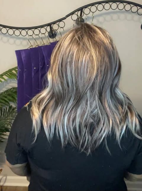 Naomi Frosted Latte HS NWOT Swiss Luxe Wig LW3-AC1