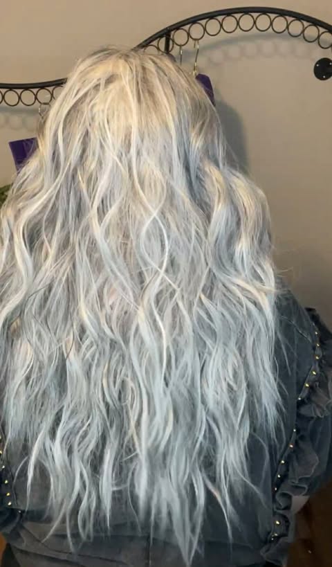 BLONDESHELL SALT AND PEPPER HS NWT BASIC WIG LW3-AC1