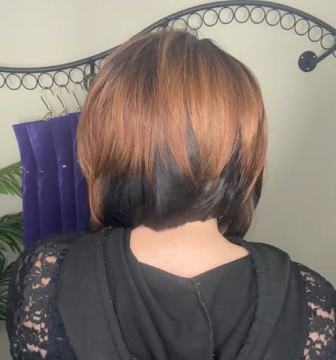 Camila Auburn Highlight NWOT HS Basic Wig TN1