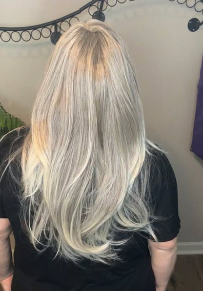 Take Me Higher HS NWOT Essentials Wig LW3 AC1