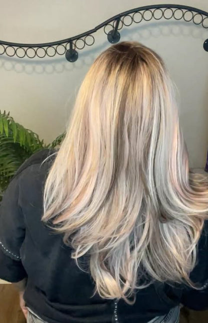 BRIDGET NWT HS BETTER THAN BASIC WIG TN1
