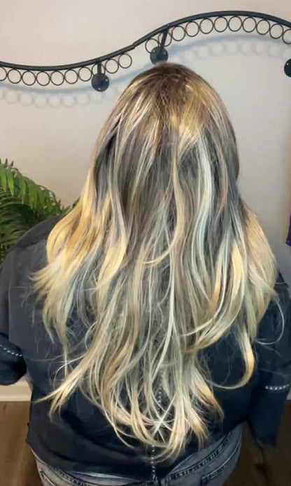 Backstage Access NWOT HS Swiss Luxe Wig TN1 AC1