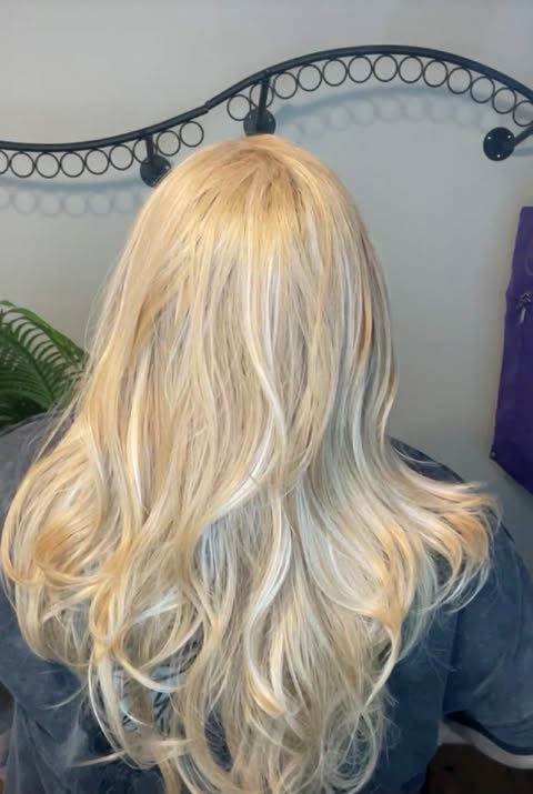 ALISHA HS NWT BETTER THAN BASIC WIG by CSC TN1 AC1