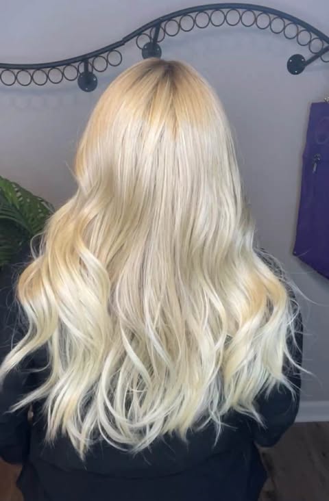 CHARMAINE (HIGH RISE BLONDE) HS NWT BETTER THAN BASIC WIG LW3 AC1