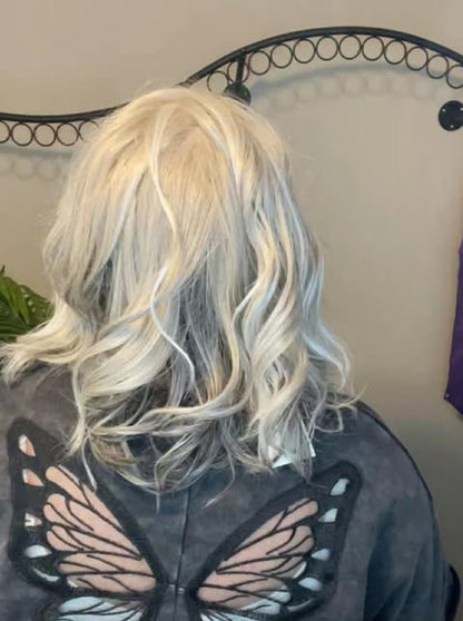 COASTAL CHARM ICED PEWTER HS HT NWT Luxury Wig by SBS TN1 AC1