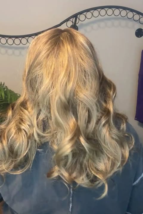 Melanie Heavy Highlights HS NWT Basic Wig CSC LW3 DH1