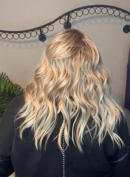 Dominance Delivered NWOT SWISS LUXE WIG TN1 AC1