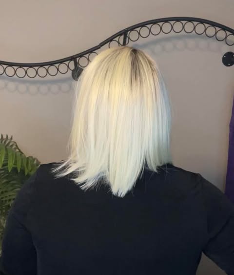 Absolute Reign Hollywood HS mystery UNTAGGED Luxury Wig TN1 AC1