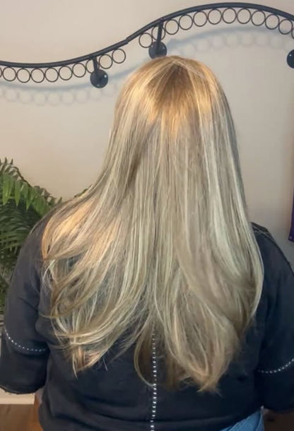 Finesse And Fire NWOT FULL MONOFILAMENT LUXURY WIG TN1 AC1