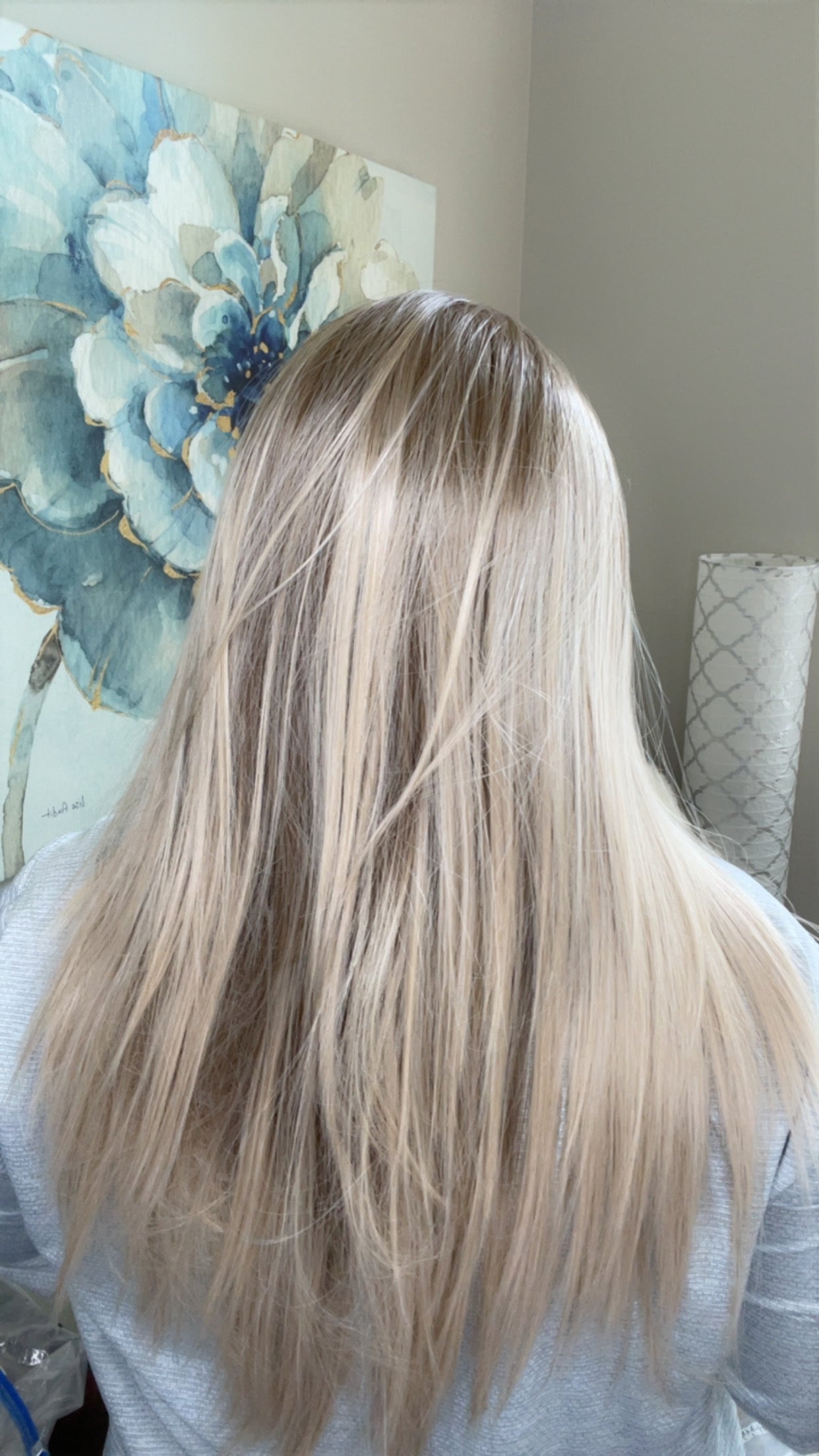 HILTON OG LONG STRAIGHT HS NWT BETTER THAN BASIC SASSY WIG TN1-AC1