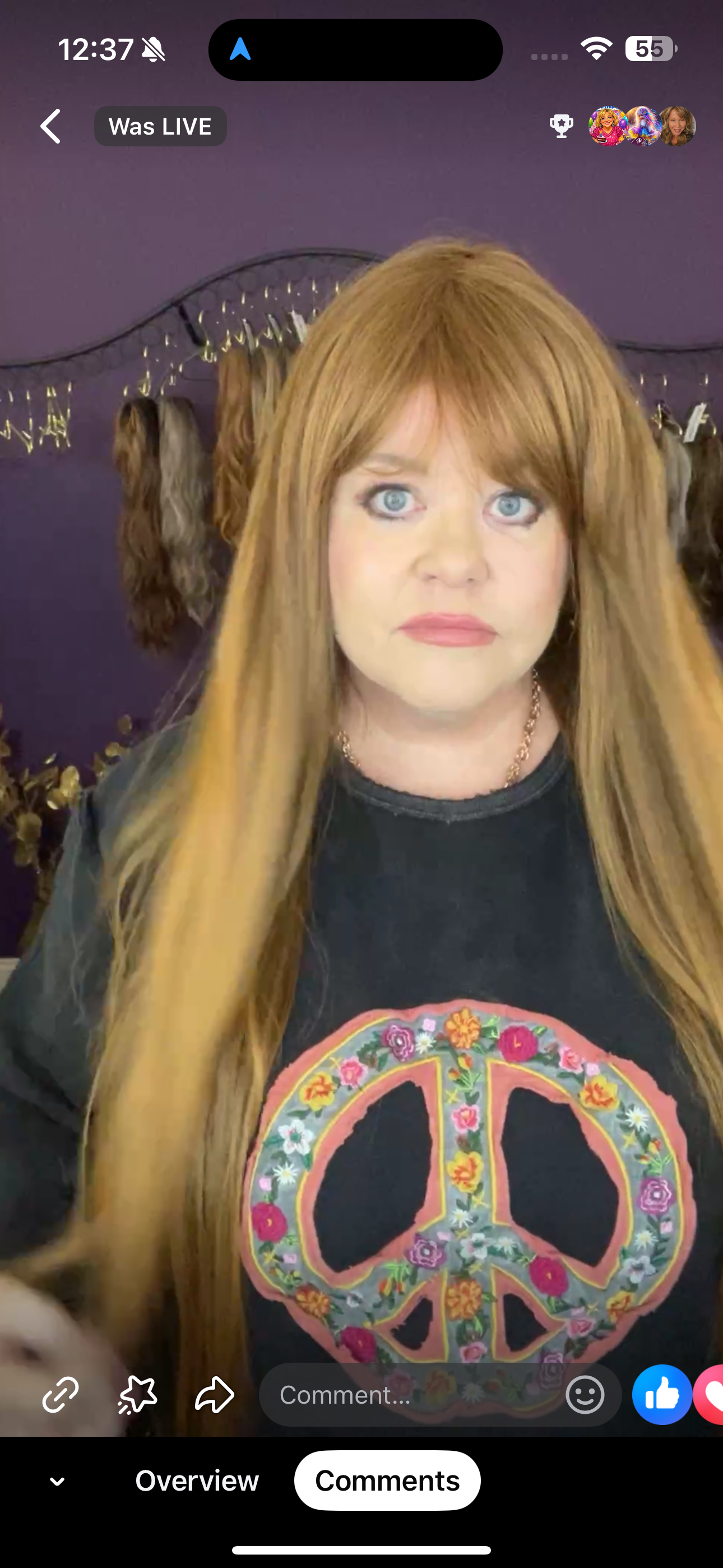 Blessed Assurance NWT HS Basic Wig By Rebel Gypsy LW3-AC1