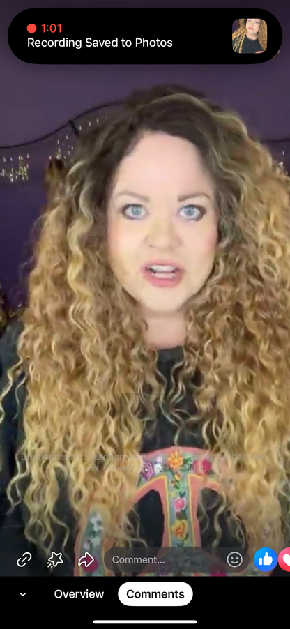 Boho Curls NWOT Basic Wig By Rebel Gypsy LW3-AC1