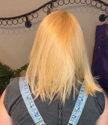 SHEER PERFECTION SUNKISSED BLONDE HS NWT Luxury Wig by SBS LW3-AC1